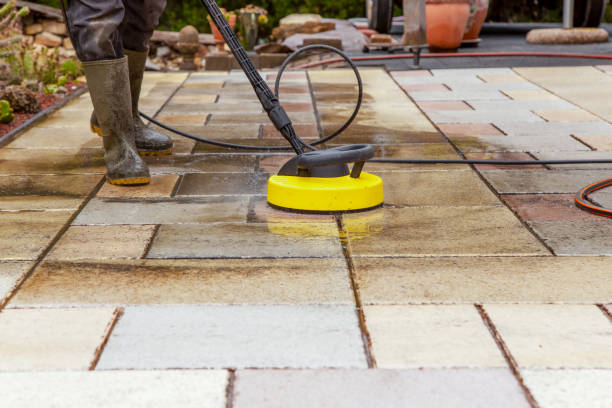 Animal Enclosure Cleaning in Eatons Neck, NY